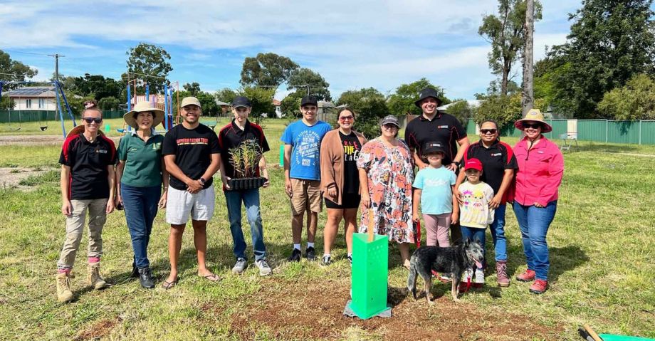 1000 trees for 100 years
