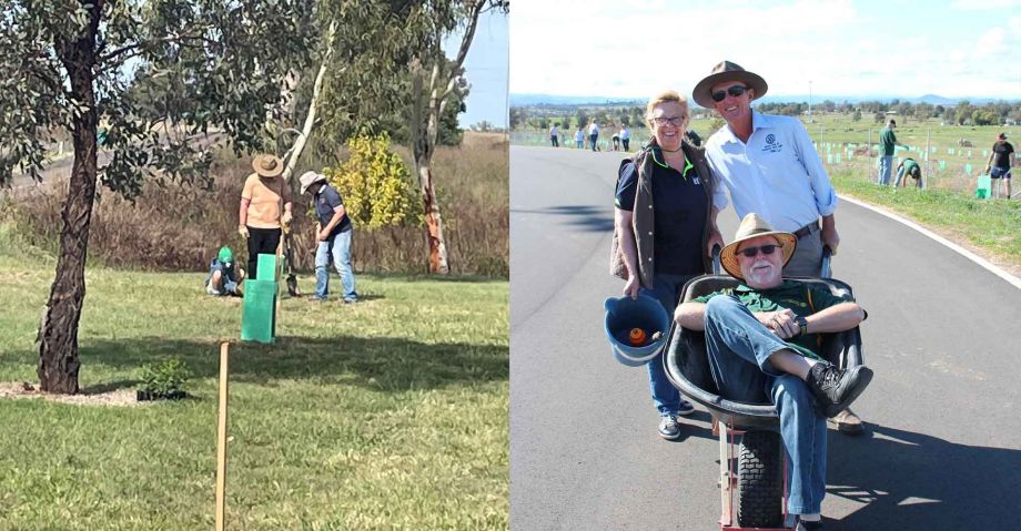 1000 trees for 100 years